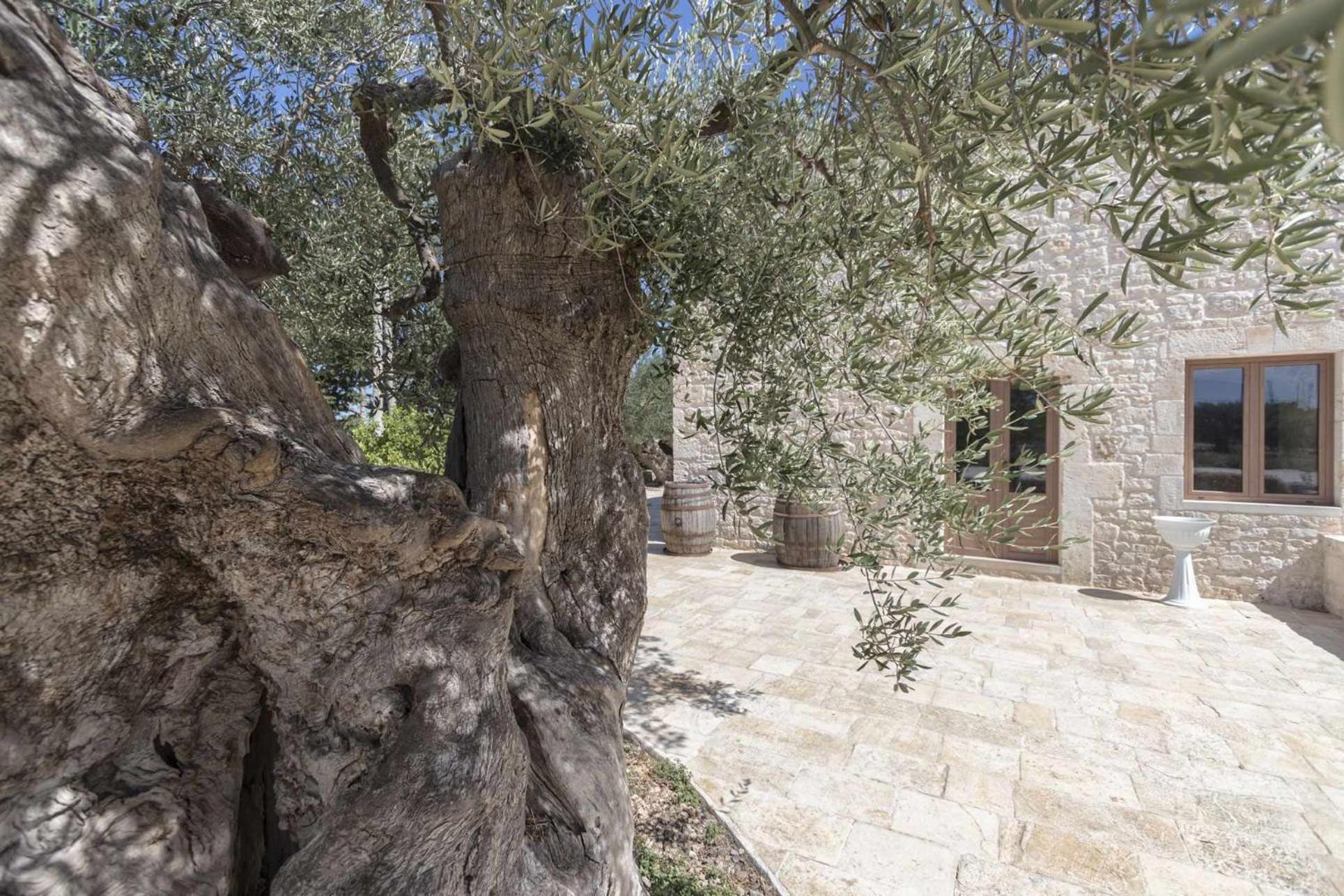 Masseria Fanizzi Конверсано Номер фото